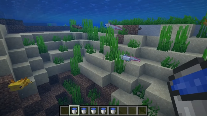 Minecraft – How to Get the Rare Blue Axolotl?